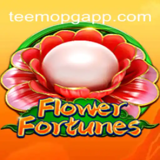 Teemopg.com Casino App