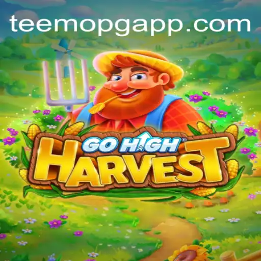 Teemopg.com Casino App
