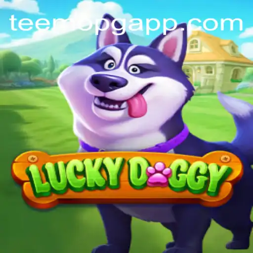 Teemopg.com Casino App